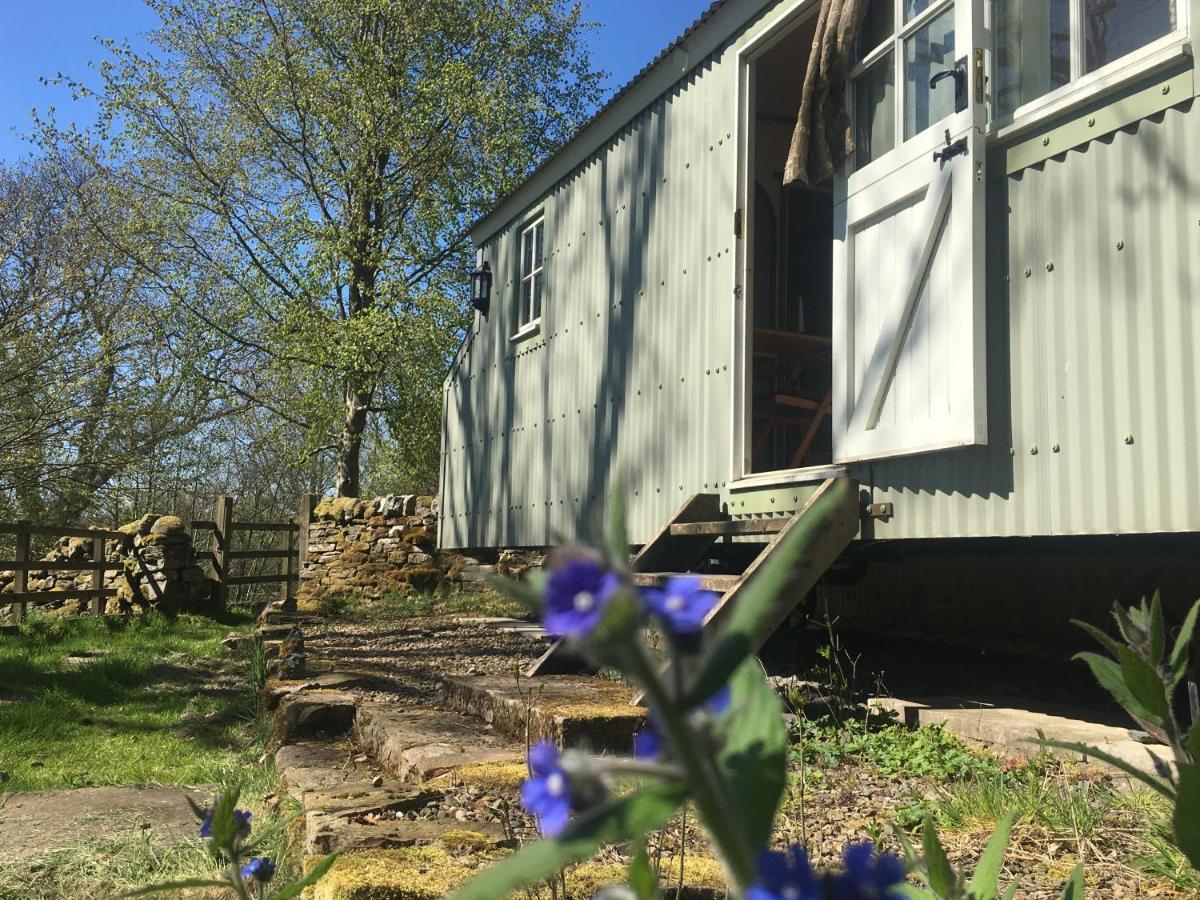 Posh Huts Farmstay Falstone Exterior foto